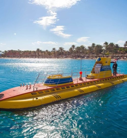 Submarine Trip