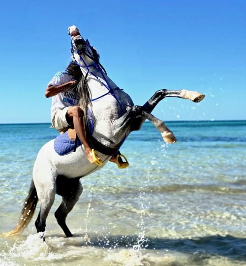 Horse Riding in Red Sea