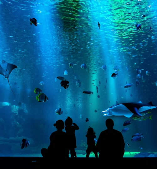 Grand Aquarium Hurghada